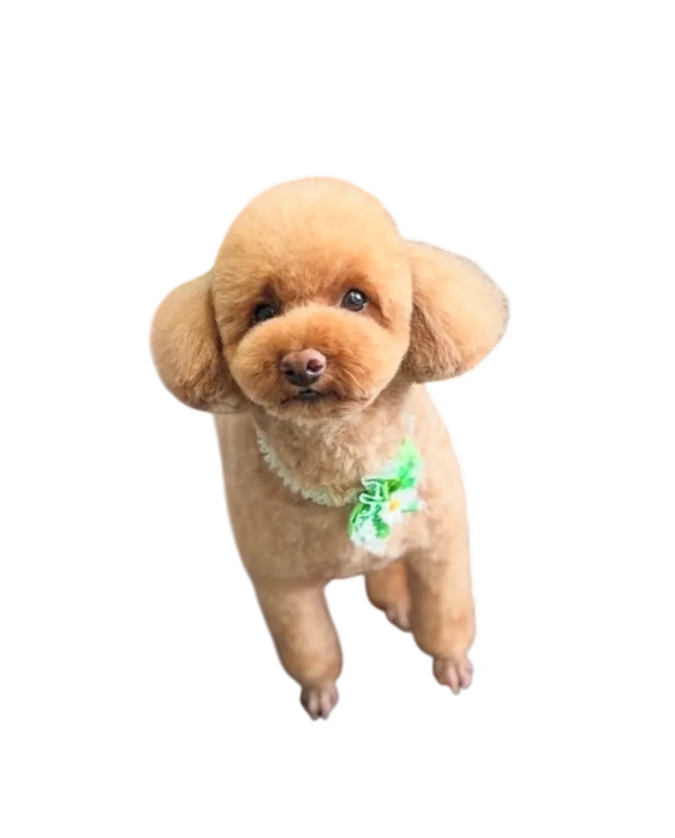 福くん